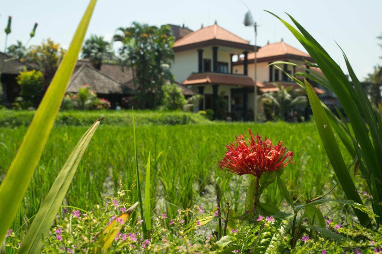 Puji Hostel And Bungalow Ubud Exteriér fotografie